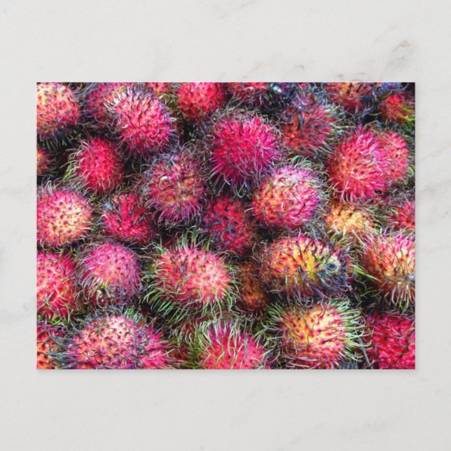 Rambutans Foto Postkarte (Vorderseite)