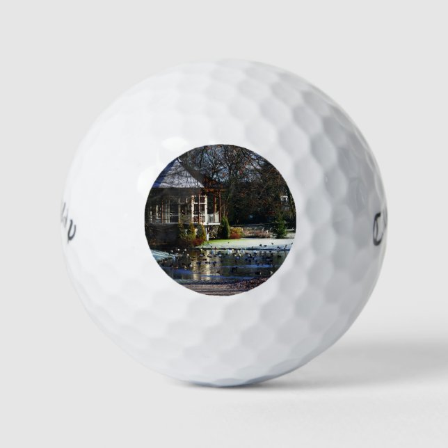 Rams Woerthe Tea House cwb gbm Golfball (Vorderseite)