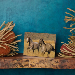 Ranch auf der Ranch von Ponderosa Fotoplatte