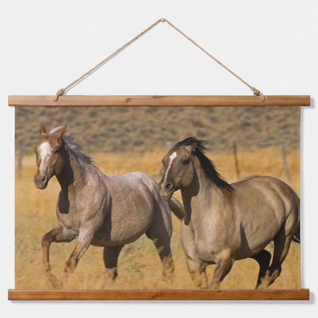 Ranch auf der Ranch von Ponderosa Wandteppich Mit Holzrahmen (Vorne)
