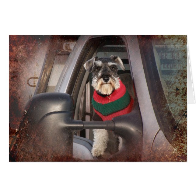 Ranch Dog (Vorderseite (Horizontal))