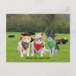 Ranch Hand - arbeitende Katzen Postkarte