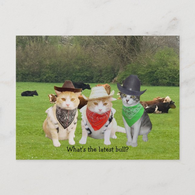 Ranch Hand - arbeitende Katzen Postkarte (Vorderseite)