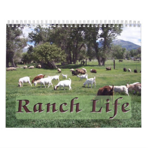Ranch Life auf der Blackman Ranch Kalender
