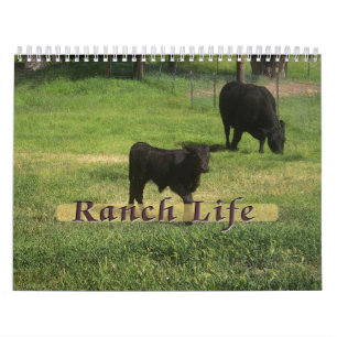 Ranch Life - Rinder Kalender