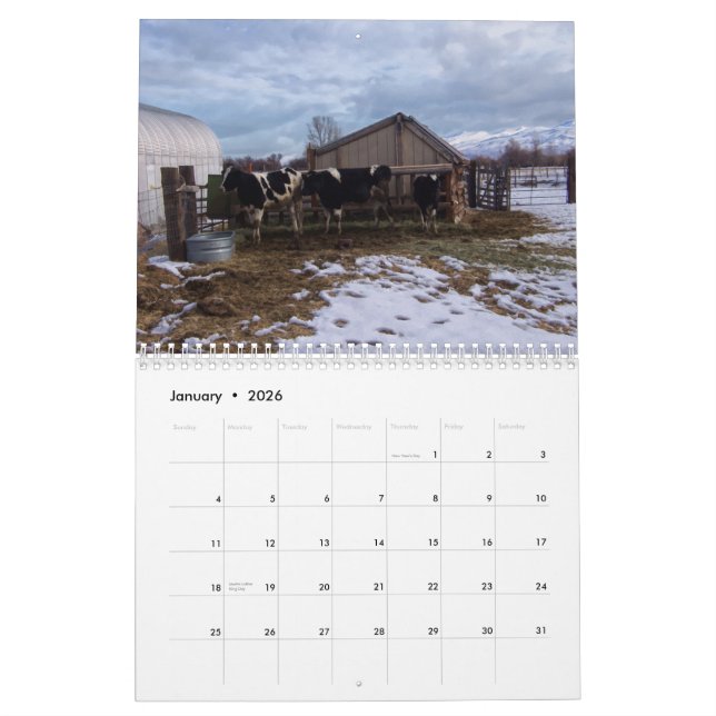 Ranch Life - Rinder Kalender (Jan 2026)