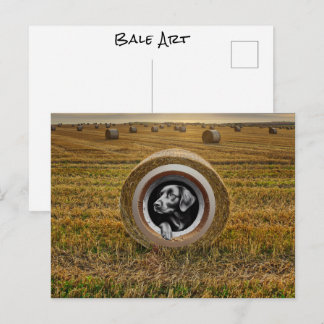 Ranchers Bauern Hund in Hayfield Round Bale Art Postkarte