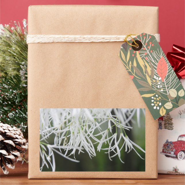 Randbaum (Chionanthus virginicus) Rechteckiger Aufkleber (Feiertag)