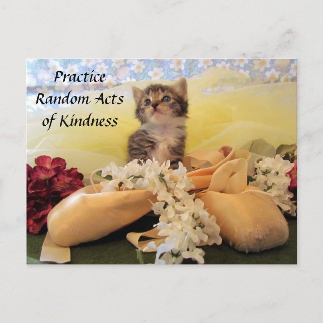 Random Act of Kindess Postcard - Ballerina Cat Postkarte (Vorderseite)