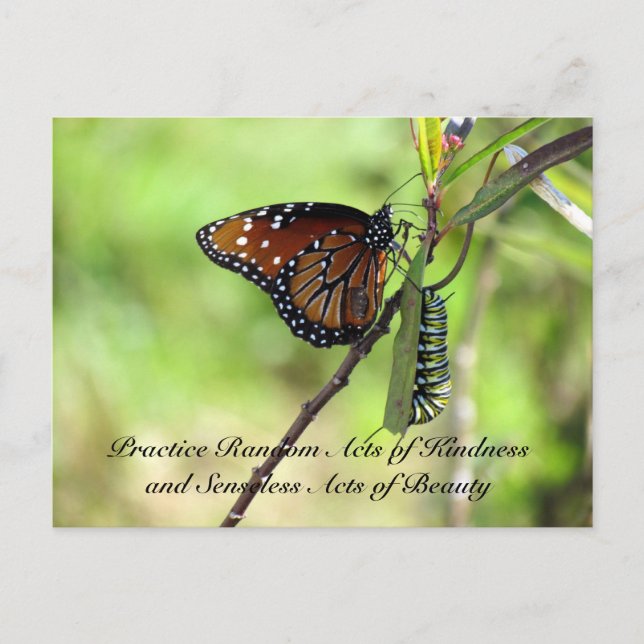 Random Act of Kindess Postcard - Queen Butterfly Postkarte (Vorderseite)