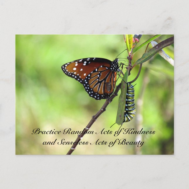 Random Act of Kindness Postcard - Queen Butterfly Postkarte (Vorderseite)