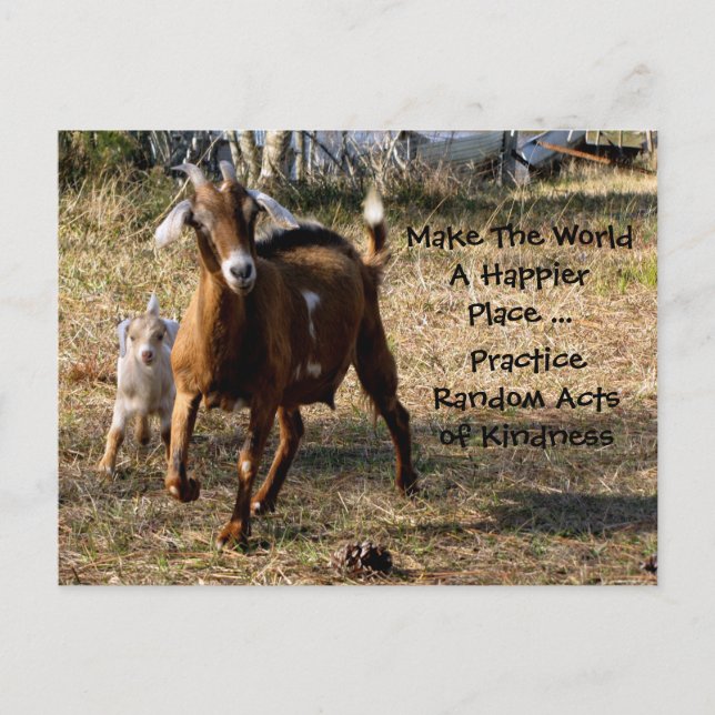 Random Acts of Kindness Postcard (Adorable Goats) Postkarte (Vorderseite)