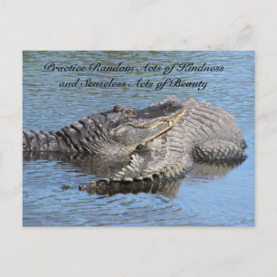 Random Acts of Kindness Postcard - Alligators Postkarte