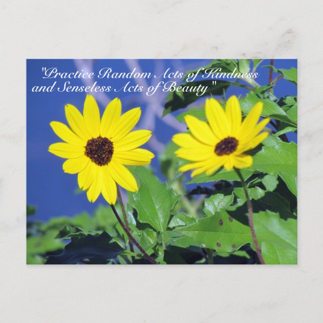 Random Acts of Kindness Postcard - Black Mit Augen Postkarte (Vorderseite)