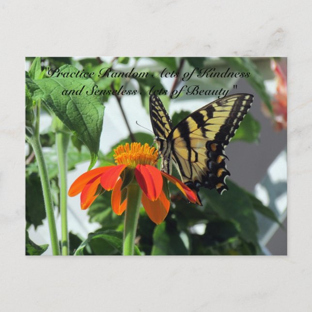 Random Acts of Kindness Postcard - Butterfly Postkarte (Vorderseite)