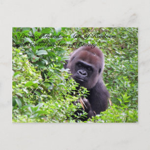 Random Acts of Kindness Postcard - Gorilla Edition Postkarte