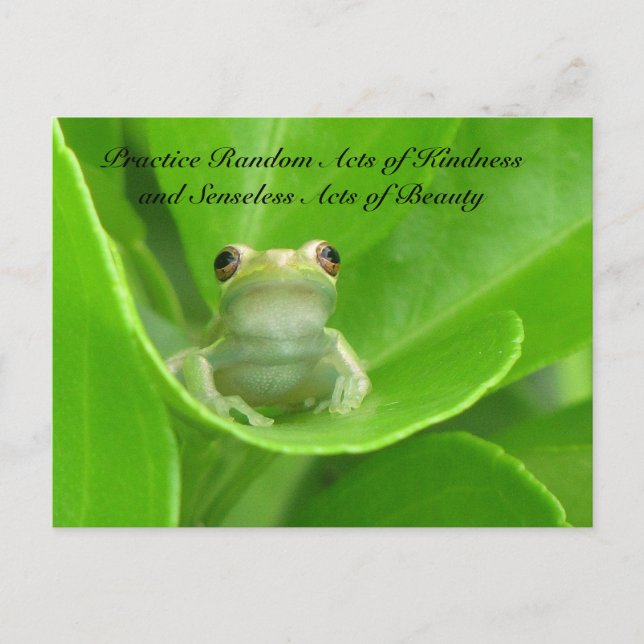 Random Acts of Kindness Postcard - Green Tree Frog Postkarte (Vorderseite)