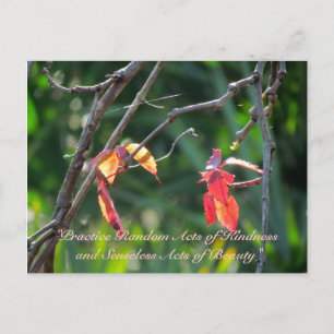 Random Acts of Kindness Postcard - Herbstlaubs Postkarte