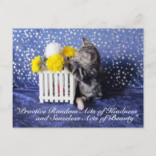Random Acts of Kindness Postcard - Lilo 3809a Postkarte