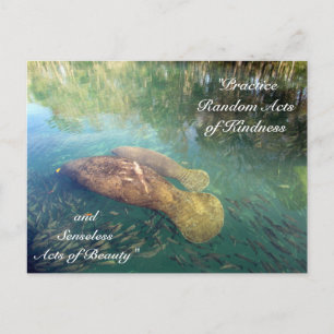Random Acts of Kindness Postcard - Manatee Postkarte