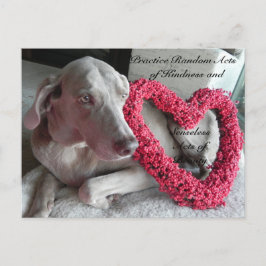 Random Acts of Kindness Postcard - Regen Postkarte