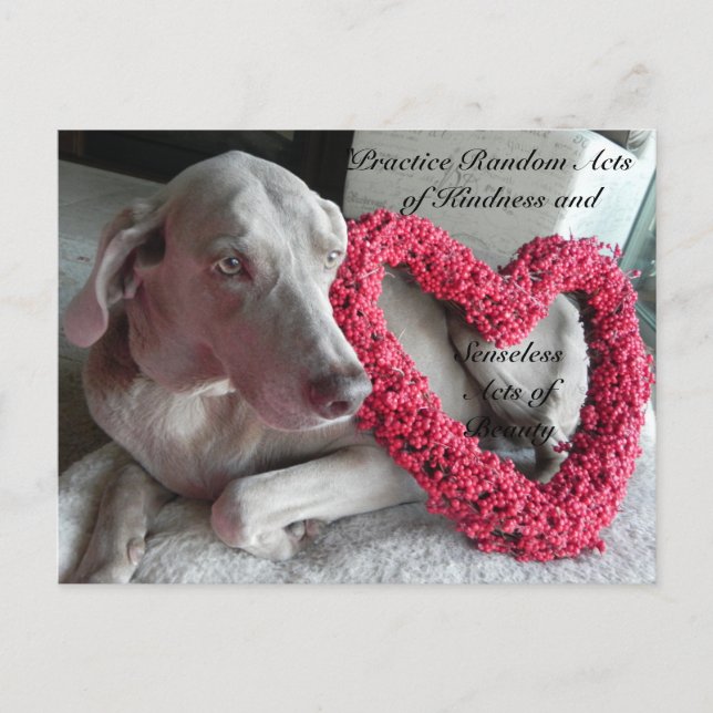 Random Acts of Kindness Postcard - Regen Postkarte (Vorderseite)