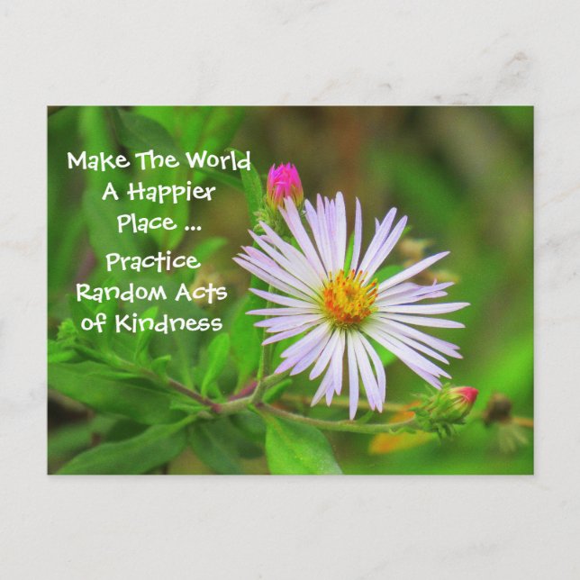 Random Acts of Kindness Postcard (Wildblume) Postkarte (Vorderseite)