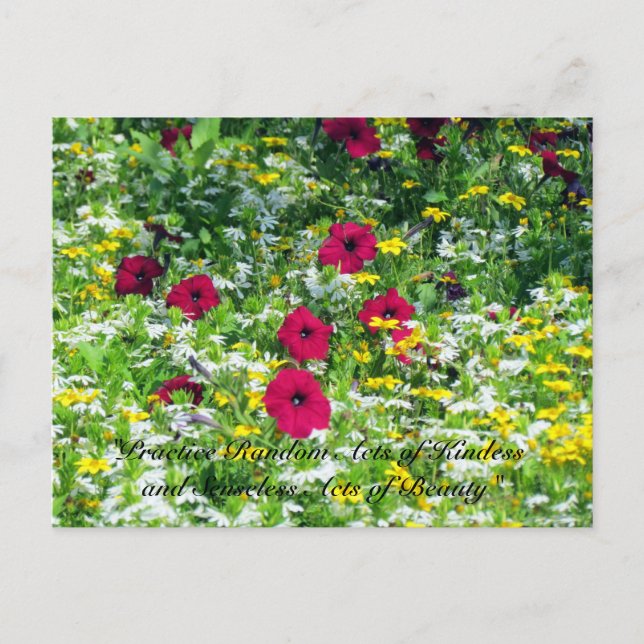 Random Acts of Kindness Postcard - Wildblumen Postkarte (Vorderseite)