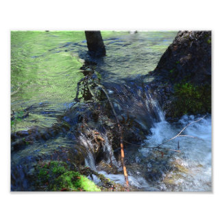 Random Beauty Fotodruck