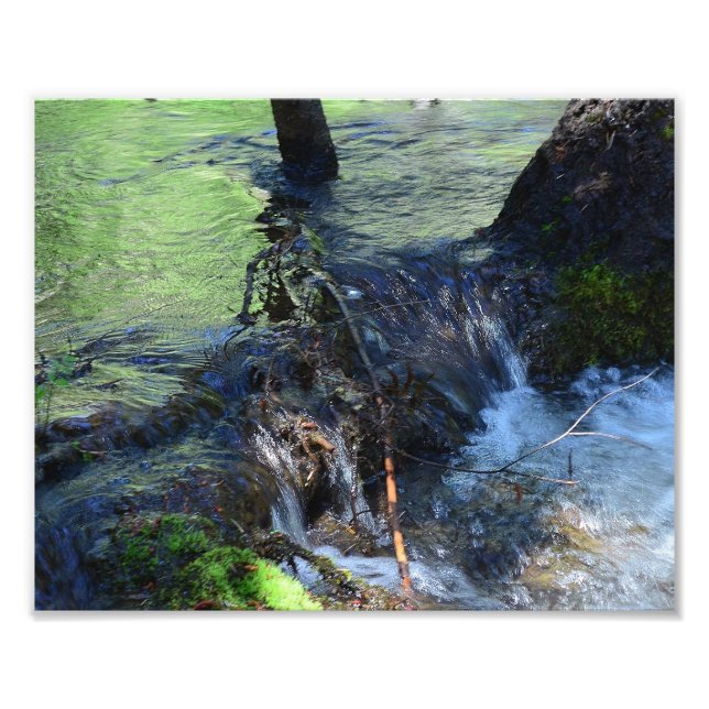 Random Beauty Fotodruck (Vorne)