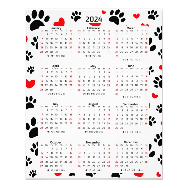 Random Dog Paw Prints and Red Hearts 2024 Kalender Fotodruck (Vorne)