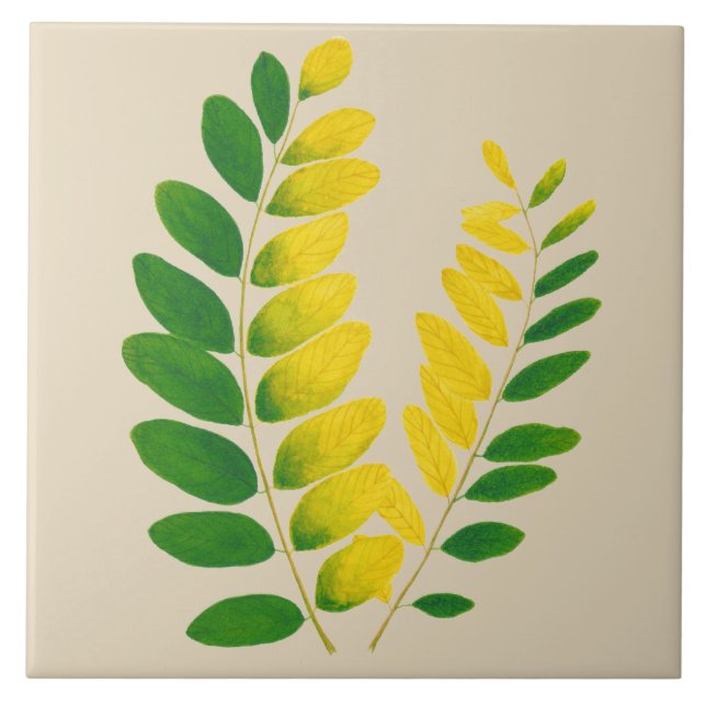 'Rang De Basanti' auf einer Keramik (II) Fliese (Vorderseite)