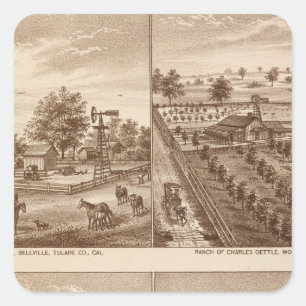Ränge, Ställe, Tulare Co., Cal Quadratischer Aufkleber