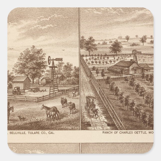 Ränge, Ställe, Tulare Co., Cal Quadratischer Aufkleber (Vorderseite)