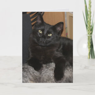 Ranger Cat Blank Grußkarte Karte