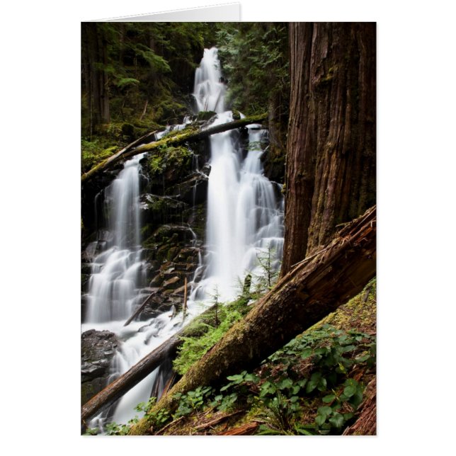 Ranger Falls (Vorne)