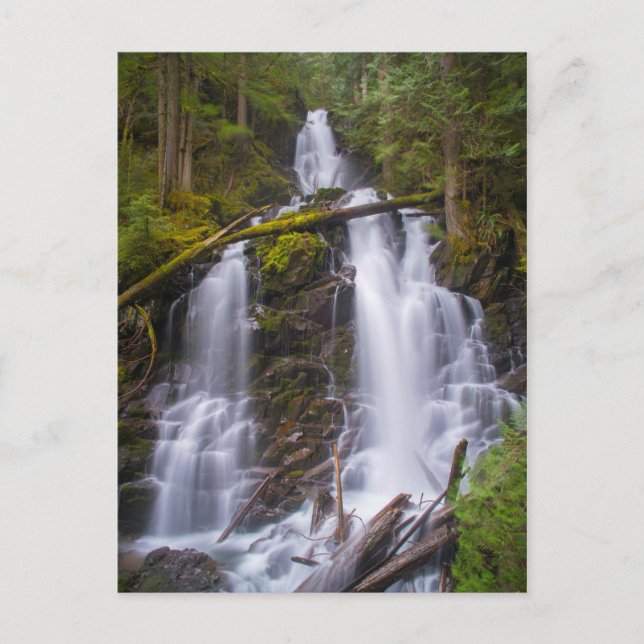 Ranger Falls, Rainer National Park Postkarte (Vorderseite)