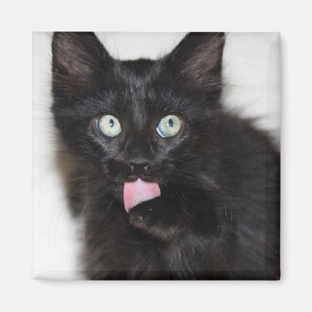 Ranger Kitten Cleaning Paw Magnet (Vorne)