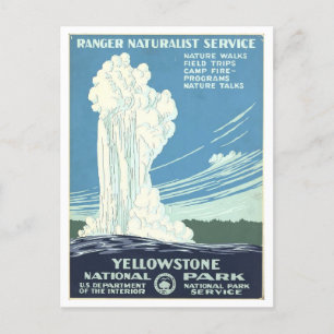 Ranger Naturalist Service in Yellowstone Vintage Postkarte