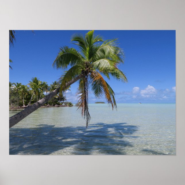 Rangiroa Blue Lagoon Tropical Palm Poster (Vorne)