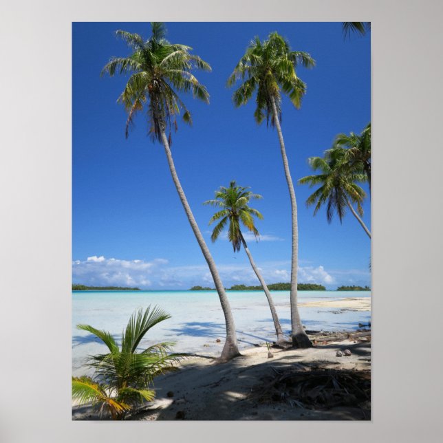 Rangiroa Poster (Vorne)