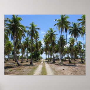 Rangiroa Weg ins Paradies Poster