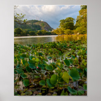 Ranthaliya-See Kurunegala Sri Lanka Landschaftsfot Poster