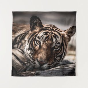 Ranthambore-Wildtiger-Männchen Fine-Art-Bildporträ Wandteppich