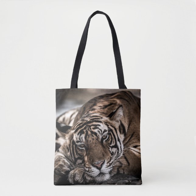 Ranthambourtiger: nah-up fine art. (Vorderseite)