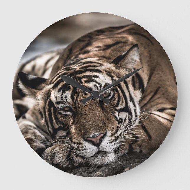 Ranthambourtiger: nah-up fine art. große wanduhr (Vorderseite)