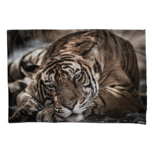 Ranthambourtiger: nah-up fine art. kissenbezug