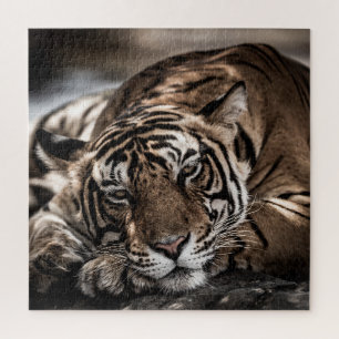 Ranthambourtiger: nah-up fine art. puzzle
