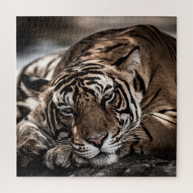 Ranthambourtiger: nah-up fine art. puzzle (Vertikal)