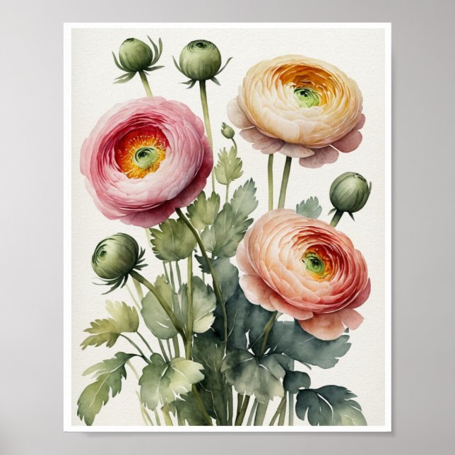 Ranunculus Blume Handgemachte Wasserfarbenplakate Poster (Vorne)